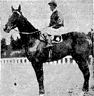 GRAY'S WINTER CUP mount will  be Best Friend and he will be  much m, public favor. (NZ Truth, 24 July 1930)