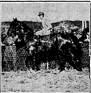 Matu will be hard to dispose of m National Steeplechase. (NZ Truth, 07 August 1930)