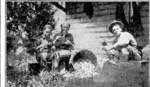 HAPPY FAMILY GROUP, showing Miifen, his wife, and their son opening pipis after a visit to the beach. (NZ Truth, 28 August 1930)