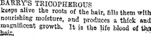 BARRY'S TRICOPHEROUS (Otago Daily Times 9-11-1894)