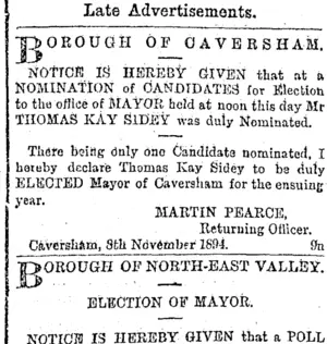 Page 3 Advertisements Column 3 (Otago Daily Times 9-11-1894)