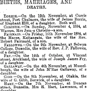 BIRTHS, MARRIAGES, AND DEATHS. (Otago Daily Times 27-11-1894)