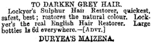 Page 4 Advertisements Column 6 (Otago Daily Times 17-1-1895)