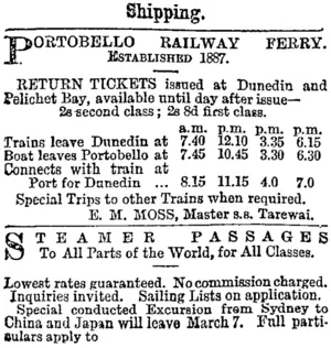 Page 1 Advertisements Column 1 (Otago Daily Times 19-1-1895)
