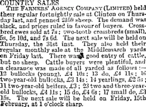 COUNTRY SALES. (Otago Daily Times 22-1-1895)