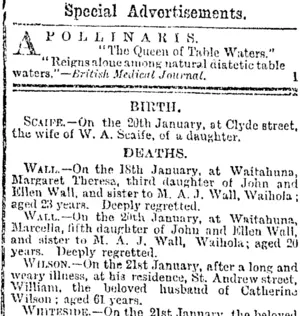 Page 4 Advertisements Column 3 (Otago Daily Times 22-1-1895)
