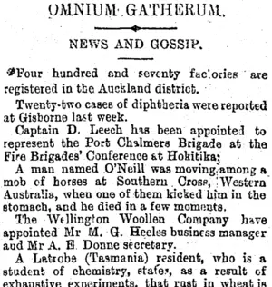 Page 4 Advertisements Column 9 (Otago Daily Times 6-3-1895)