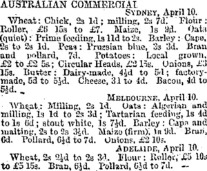 AUSTRALIAN COMMERCIAL. (Otago Daily Times 11-4-1895)