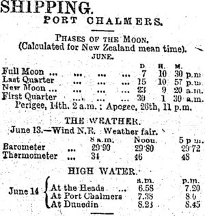 SHIPPING. (Otago Daily Times 14-6-1895)