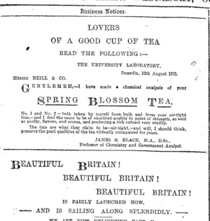 Page 4 Advertisements Column 4 (Otago Daily Times 16-10-1895)