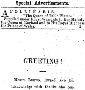 Page 2 Advertisements Column 3 (Otago Daily Times 1-1-1896)