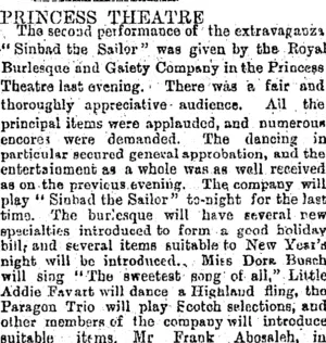 PRINCESS THEATRE. (Otago Daily Times 1-1-1896)