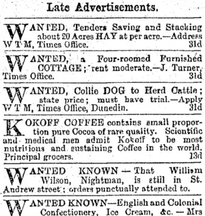 Page 3 Advertisements Column 6 (Otago Daily Times 1-1-1896)