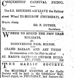 Page 1 Advertisements Column 9 (Otago Daily Times 1-1-1896)
