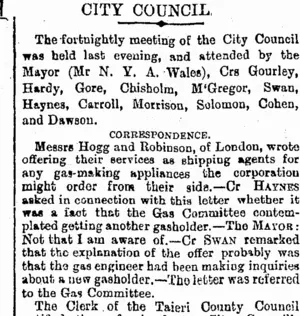 CITY COUNCIL. (Otago Daily Times 30-1-1896)