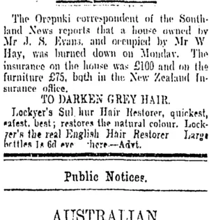 Page 3 Advertisements Column 3 (Otago Daily Times 25-5-1901)
