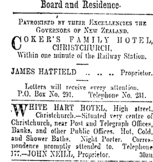 Page 2 Advertisements Column 1 (Otago Daily Times 10-10-1901)