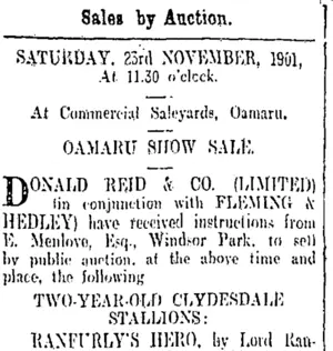 Page 8 Advertisements Column 2 (Otago Daily Times 20-11-1901)
