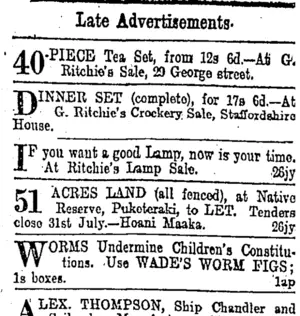 Page 6 Advertisements Column 1 (Otago Daily Times 28-7-1902)