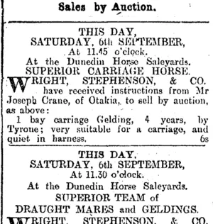 Page 12 Advertisements Column 2 (Otago Daily Times 6-9-1902)