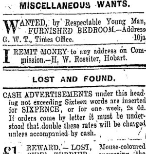 Page 1 Advertisements Column 6 (Otago Daily Times 10-1-1903)