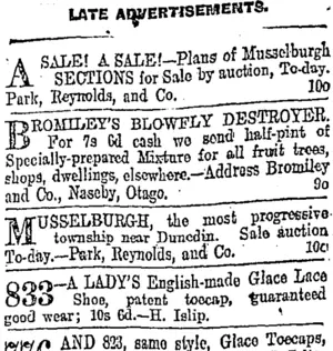 Page 9 Advertisements Column 8 (Otago Daily Times 10-10-1903)