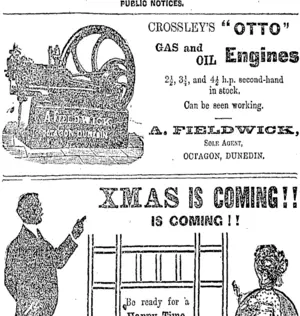Page 15 Advertisements Column 4 (Otago Daily Times 19-12-1903)