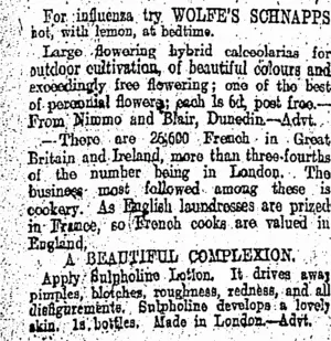 Page 8 Advertisements Column 1 (Otago Daily Times 6-2-1904)