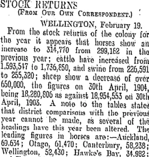 STOCK RETURNS. (Otago Daily Times 20-2-1905)