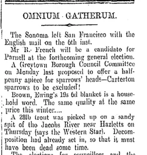 OMNIUM GATHERUM. (Otago Daily Times 10-4-1905)