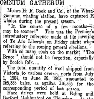 OMNIUM GATHERUM. (Otago Daily Times 1-8-1905)