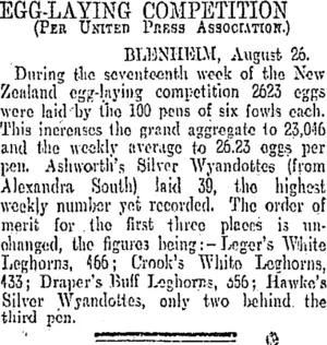 EGG-LAYING COMPETITION. (Otago Daily Times 28-8-1905)