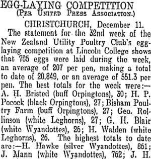 EGG-LAYING COMPETITION. (Otago Daily Times 12-12-1905)
