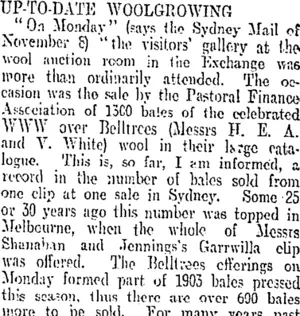 UP-TO-DATE WOOLGROWING. (Otago Daily Times 2-2-1906)