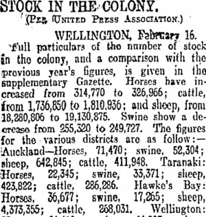 STOCK IN THE COLONSY. (Otago Daily Times 17-2-1906)