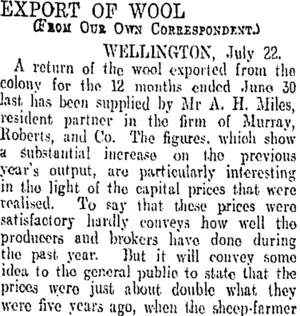EXPORT OF WOOL. (Otago Daily Times 13-8-1906)
