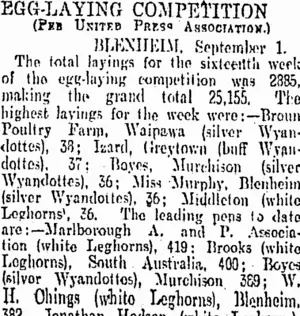 EGG-LAYING COMPETITION. (Otago Daily Times 3-9-1906)