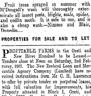 Page 7 Advertisements Column 1 (Otago Daily Times 2-2-1907)