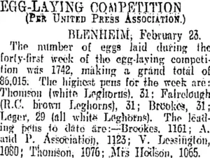 EGG-LAYING COMPETITION. (Otago Daily Times 25-2-1907)