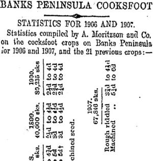 BANKS PENINSULA COOKSFOOT (Otago Daily Times 6-4-1907)