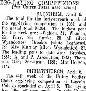 EGG-LAYING COMPETITIONS. (Otago Daily Times 9-4-1907)