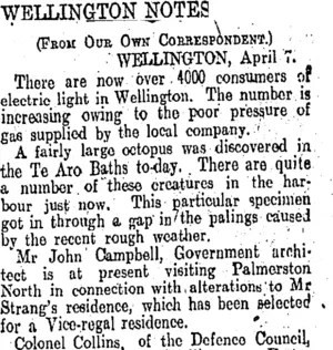 WELLINGTON NOTES. (Otago Daily Times 9-4-1908)