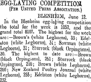 EGG-LAYING COMPETITION (Otago Daily Times 13-6-1908)