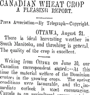 CANADIAN WHEAT CROP (Otago Daily Times 24-8-1908)
