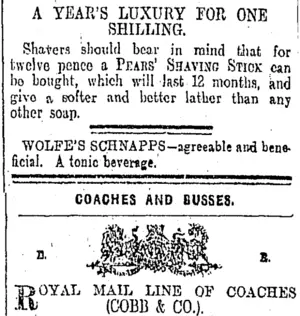 Page 12 Advertisements Column 5 (Otago Daily Times 3-10-1908)