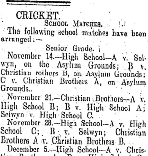 CRICKET. (Otago Daily Times 14-11-1908)