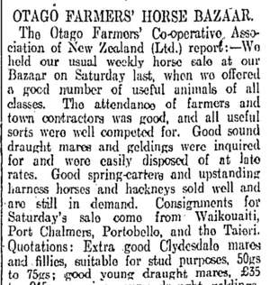 OTAGO FARMERS' HORSE BAZAAR. (Otago Daily Times 24-7-1911)