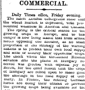 COMMERCIAL. (Otago Daily Times 5-6-1915)