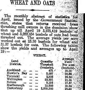 WHEAT AND OATS (Otago Daily Times 24-5-1917)