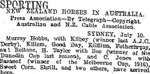 SPORTING. (Otago Daily Times 11-7-1917)